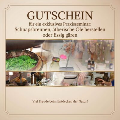 Seminargutschein