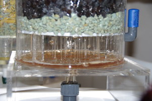 Drain of the Vinegar Reactor